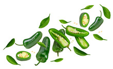 Flying Sliced Jalapeno Peppers Isolated On White Background. Green Chili Pepper. Capsicum Annuum. Clipping Path