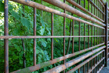 Rusted Or Rusty Steel Or Iron Fence Grill Or Grid. Close Up Wide Angle Shot, Greenery In The Background, No People