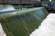 Shallow river water flowing down a cement dam in Europe. Day time, foaming water, no people