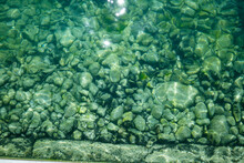 Underwater Pebbles And Rock On A Shallow Water Riverbed, No People