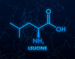 Icon with leucine formula. Essential Amino Acid molecular formula