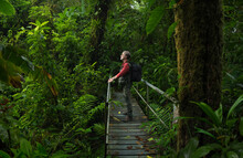 Man In The Rain Forest