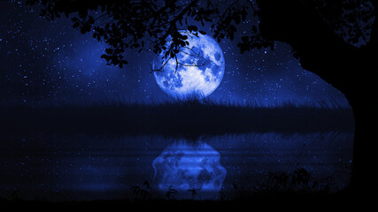 Wall Mural - full moon and grassland and at nightscape