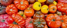 Heirloom Tomatoes Loosely Displayed On A Market Stand With Varying Size, Shapes And Textures Seen From Directly Above.
