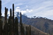 The dramatic landscapes of the Andes Mountains and cloud forests around the hiking path on the Inca Trail in Peru
