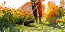 A Man Mows The Grass With A Trimmer