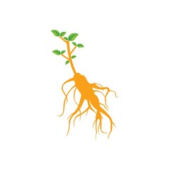 Sticker - Ginseng icon