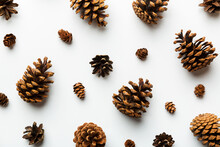 Pine Cones On Colored Table. Natural Holiday Background With Pinecones Grouped Together. Flat Lay. Winter Concept