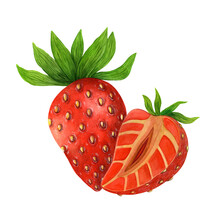 Red Juicy Strawberry Watercolor Illustration. Ripe Summer Whole Berry, Cut In Half. Hand Drawn Fresh Garden Fruit With Leaves. Food Clipart Isolated On White. For Cards, Posters, Wrapping, Web