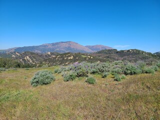 Poster - Mt Diablo from Oyster Point, California