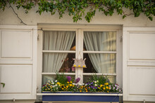 A Beautiful Old Window, A Bed Of Flowers On The Window