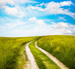 Wall Mural - beautiful summer fields