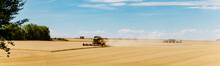 Panoramic view at combine harvester working on a wheat field. Harvesting the wheat. Agriculture. Panoramic banner.	