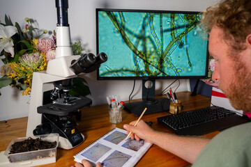 Wall Mural - soil microbes organisms in a soil and compost sample, fungus and fungi and under the microscope in regenerative agriculture. in australia.
