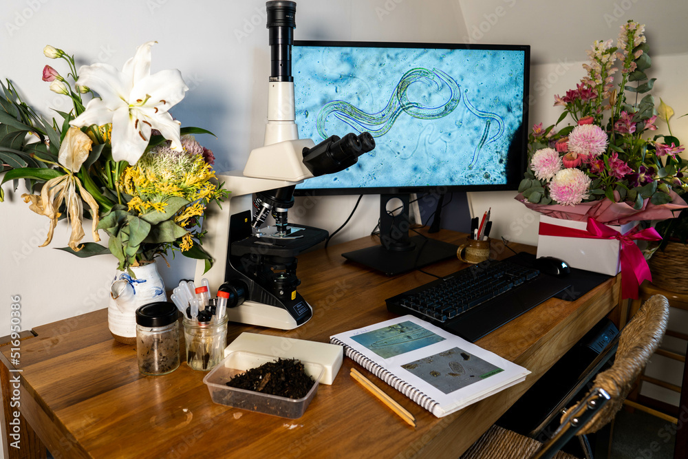 Home lab testing soil samples for soil life biology microorganisms in ...