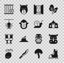 Set Hunter Boots, Rhinoceros, Tourist Tent, Waterfall, Monkey, Spider, Animal Cage And Snail Icon. Vector