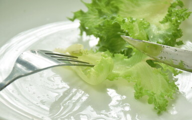 Wall Mural - fork stabbing and knife slice to fresh lettuce with drop of water on plate 