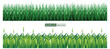 realistic seamless green grass flat horizontal 

banners set. seamless green grass border isolated 

on white background