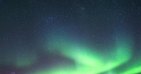 Wall Mural - aurora borealis, northern lights with stars in the night sky on arctic circle at north pole