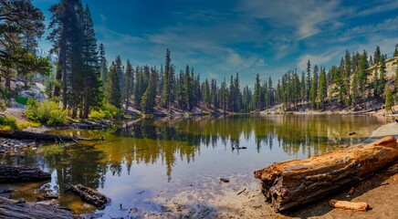 Canvas Print - Lake surrounded by pine trees against the blue sky.