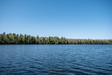 scenic view of a lake in a forest in summer time. beautiful view of green trees and dark blue water.