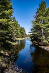 Sticker - A river in forest surrounded by lush nature in summer time. View of green trees and dark blue water.