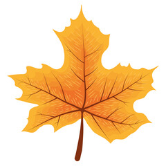 Sticker - orange autumn maple leaf