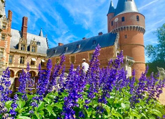 Wall Mural - The charming historic castle of Château de Maintenon in France