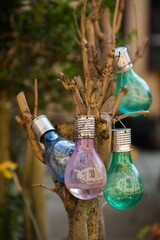 Wall Mural - Empty light bulbs hanging on a tree