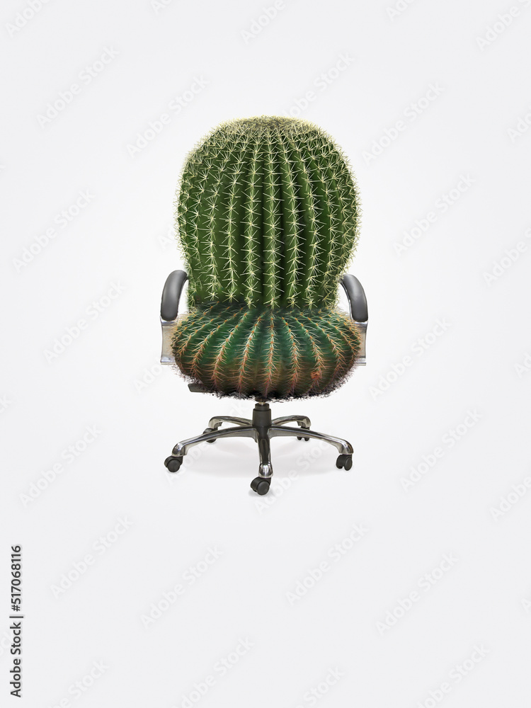 luft calathea Calathea orbifolia XXL-Größe kaufen main image 1