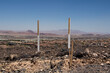 Surveyors Marker or Stake in Rocky Soil or Ground with Las Vegas, Nevada, USA in the Background