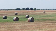 Hay Bales With American Flag Wrappings Waiting To Be Delivered To Local Texas Cattle Ranchers