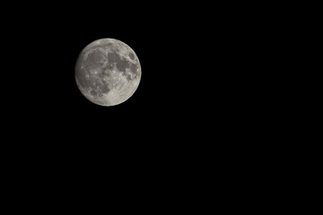 Wall Mural - full moon on black night sky