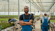 © DC Studio - Portrait of smiling african american man in modern greenhouse with workers pushing crates of organic food for delivery. Bio vegetables farmer posing happy while pickers gather bio vegetables.