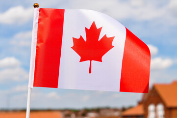 Wall Mural - the national flag of Canada red maple leaf red and white colors close up