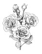 hand drawn roses