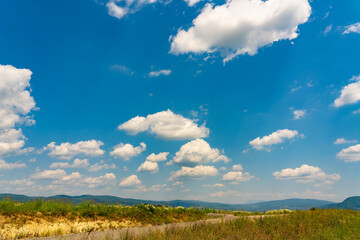 Wall Mural - Beautiful cloudy blue sky over a green summer valley