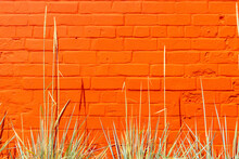 Abstract Background Of Orange Brick Wall Pattern Texture And Herbaceous Plants. Great For Inscriptions.Copy Space.