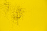 Fototapeta Dmuchawce - Fallen hair on the yellow background. Baldness and hair loss problem