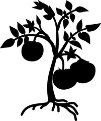 Sticker - Black silhouette of tomato plant with root isolated on white background	