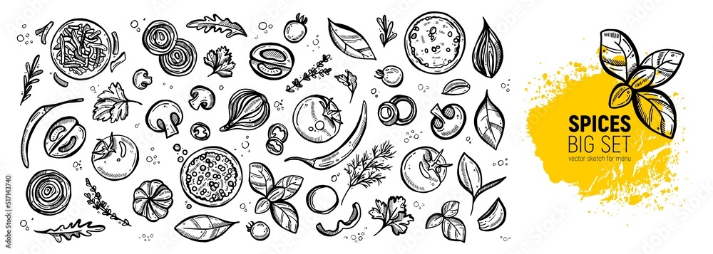 Big set for the menu. Spices and vegetables. Hand drawing sketches ...
