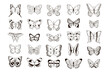 Butterfly collection vector line illustrations set