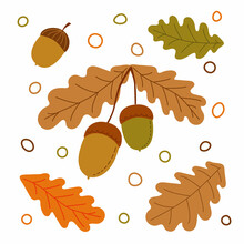 Vector Illustration Of Oak Branch With Two Acorns And Leaf. Acorns Isolated On A White Background. Autumn Decoration. Acorn, Oak Nut, Seed.