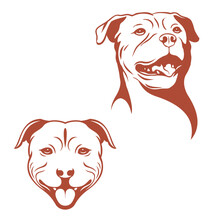 Portrait Of Two Staffordshire Terriers, Two Line Art Dogs Images, Isolated On White Background.