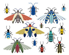 Vector Collection Of Colorful Bugs In Flat. Can Be Used As A Template For Your Design, Stickers, Logo, Icons, Apparel.