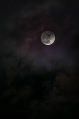 full moon in the night