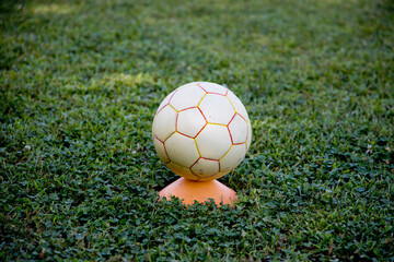 soccer ball stopped on the field ready to be kicked