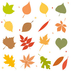 Wall Mural - autumn leaves collection silhouette set isolated, vector