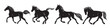 running horses silhouette isolated, vector
