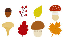 Autumn Forest Mushroom And Leaves Set. Cute Cartoon Vector Illustration Isolated On White Background. Boletus, Honey Mushrooms, Fly Agaric Berries, Maple, Oak, Birch Leaves